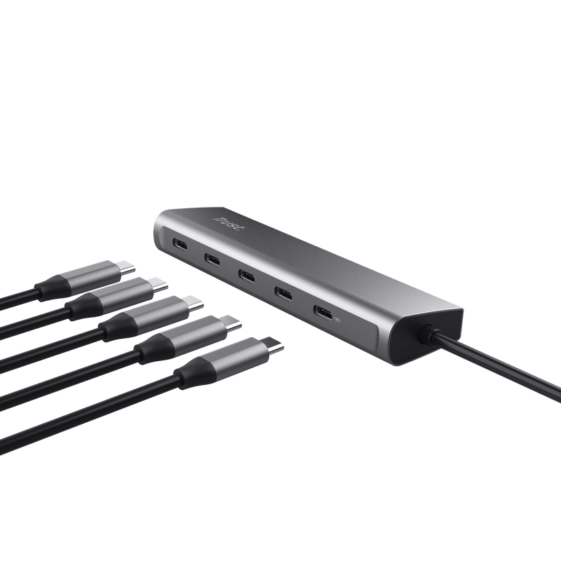 Hub USB-C TRUST Halyx 5 Porturi 3.2 Gen 1 100W PD Gri TR-25136