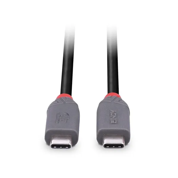 Cablu LINDY USB4 240W USB Type C 2m 40Gbps Gri - imagine 3