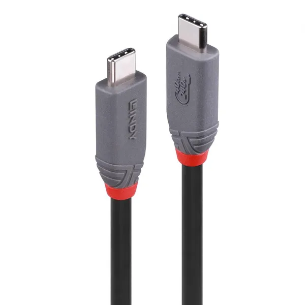 Cablu LINDY USB4 240W USB Type C 2m 40Gbps Gri - imagine 2