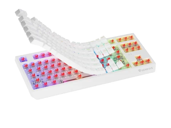 Tastatură Gaming GENESIS Thor 230 TKL Mecanică Wireless RGB Alb - imagine 10
