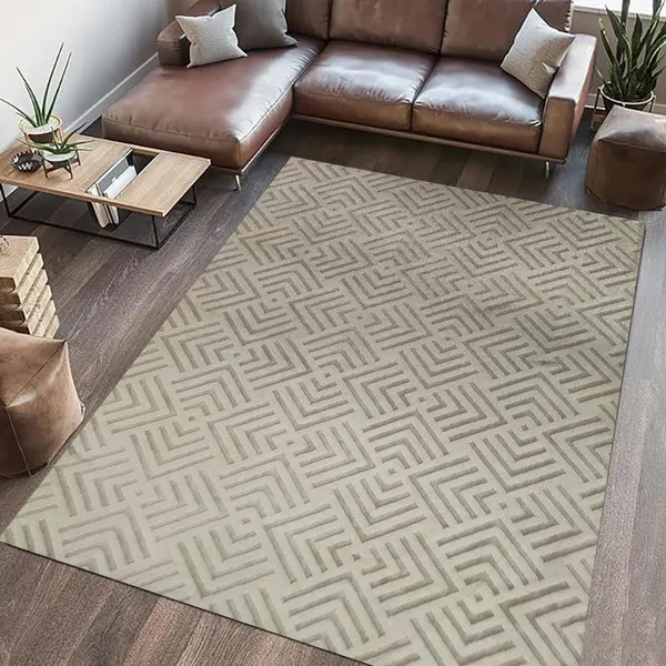 Covor Blanita Dover 160x230 cm Beige Poliester