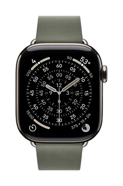 Curea APPLE Watch Modern Buckle 42mm Sage Gray Medium