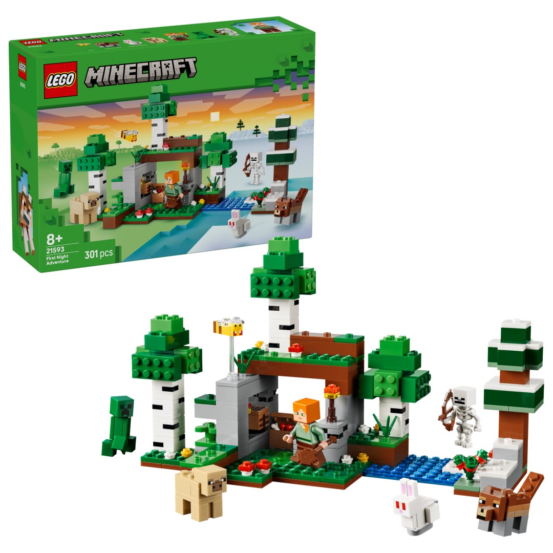 Set Construcție LEGO 21593 Prima Aventura pe Timp de Noapte