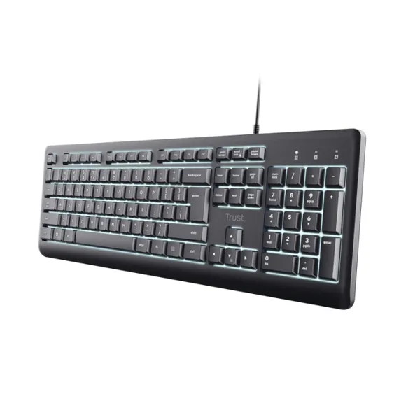 Tastatură TRUST Primo USB Membrană Iluminare 104 Taste Gri