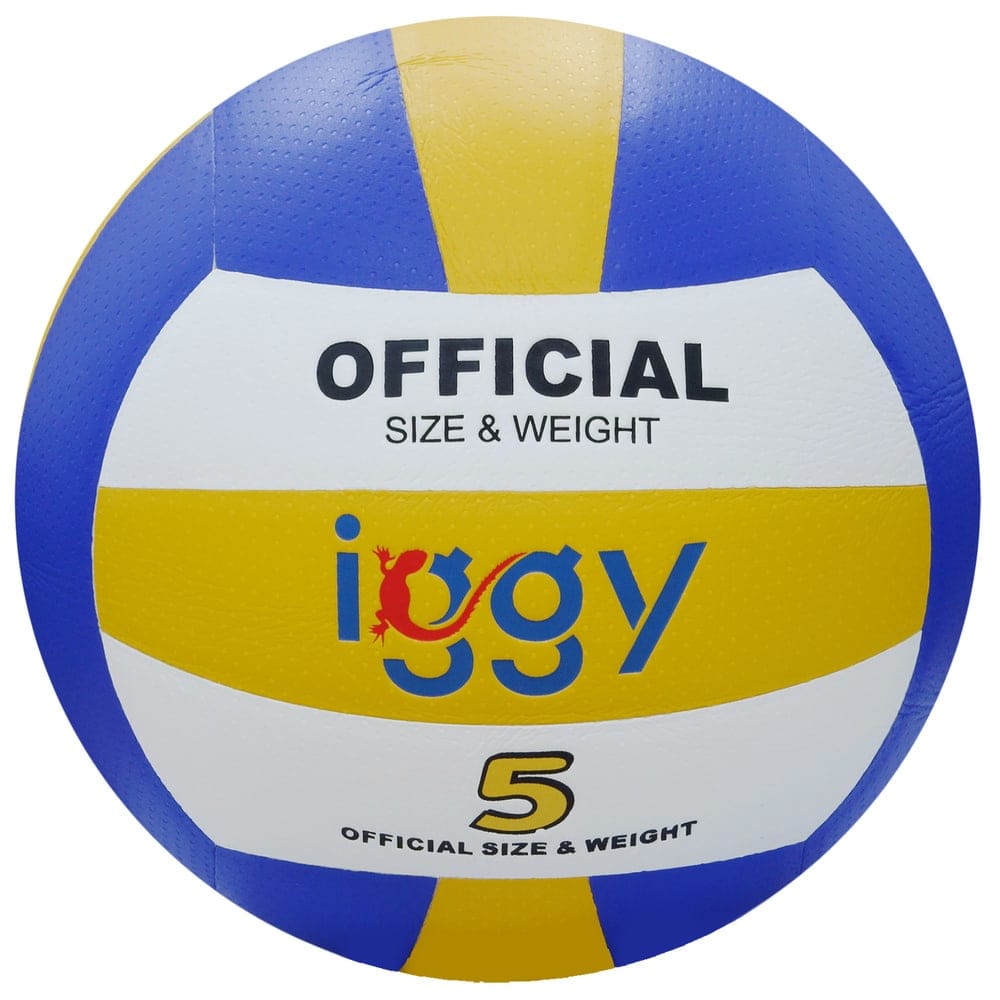 Minge Volei IGGY IGVB-PRO Dimensiune 5 240g