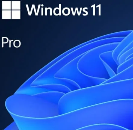 Licență MICROSOFT Windows 11 Pro N 64-bit FWC-03370