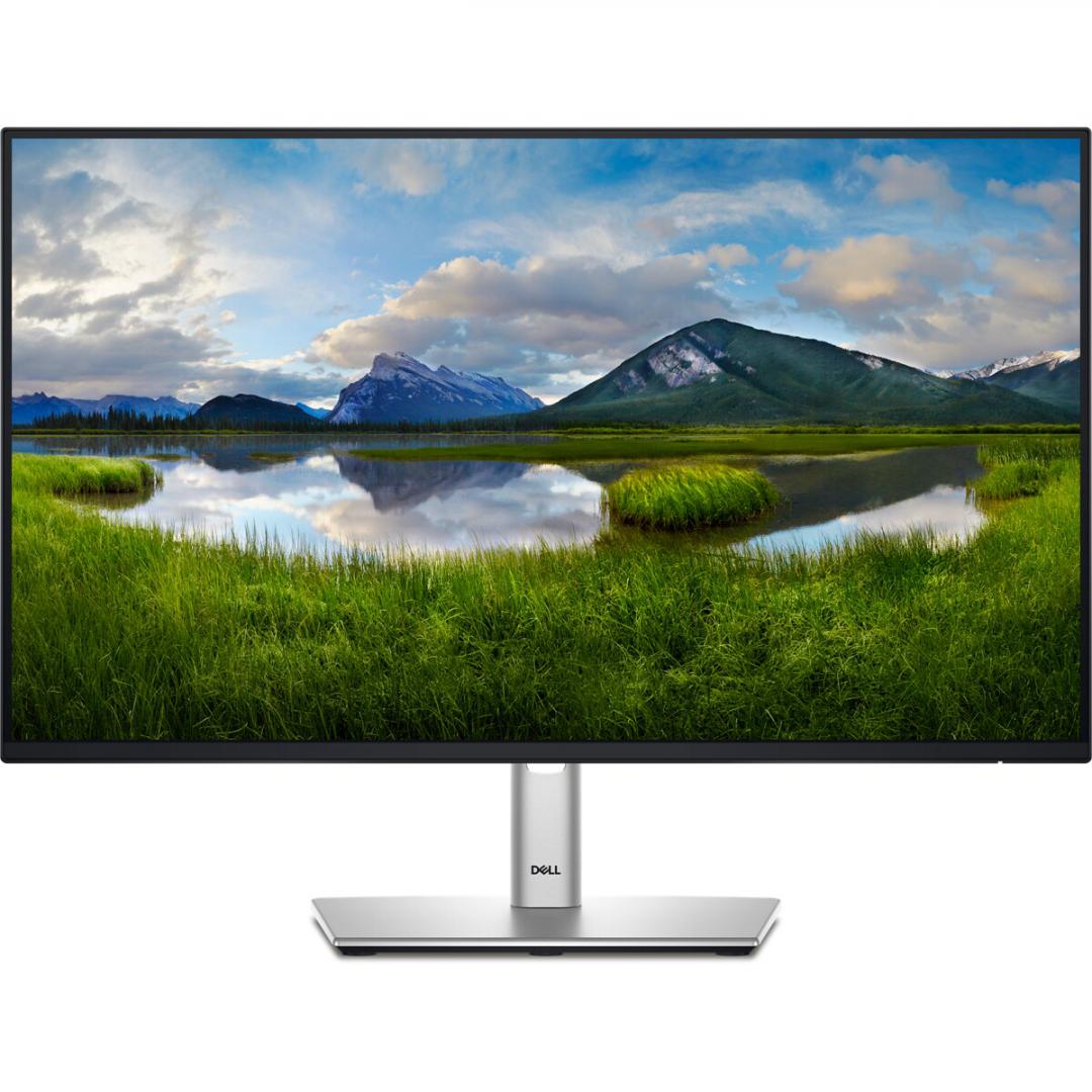 Monitor DELL P2425H 23.8 inch FHD 100Hz IPS