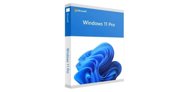 Sistem de operare MICROSOFT Windows 11 Pro USB HAV-00163