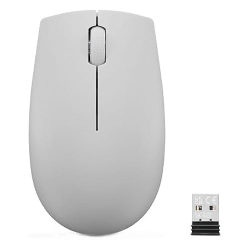Mouse LENOVO 300 USB Wireless Arctic Grey GY51L15678