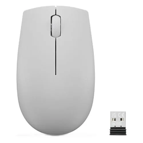 Mouse LENOVO 300 USB Arctic Grey GY51L15678