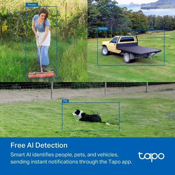 Cameră de supraveghere TP-LINK Tapo C501GW 4G LTE Pan/Tilt Exterior - imagine 6
