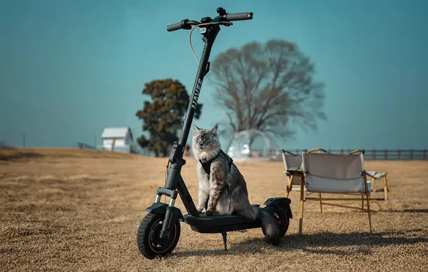 Scuter electric NAVEE GT3 350W 48V - imagine 7